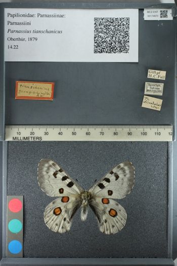 Media type: image;   Entomology 174870